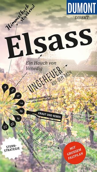 Produktbild: DuMont direkt Reisef&uuml;hrer Elsass