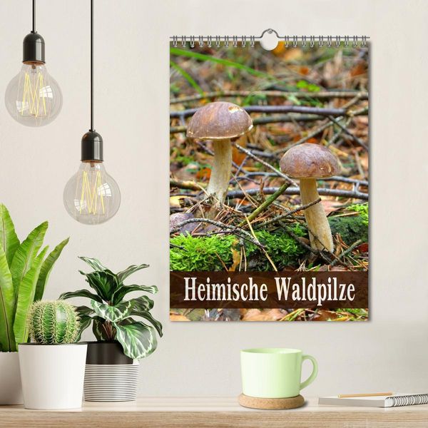 Produktbild: Heimische Waldpilze (Wandkalender 2026 DIN A4 hoch), CALVENDO Monatskalender