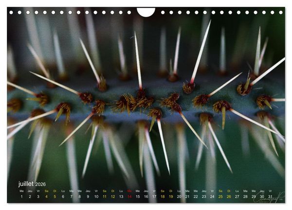 Produktbild: Au c&oelig;ur d&rsquo;une nature color&eacute;e (Calendrier mural 2026 DIN A4 vertical), CALVENDO calendrier mensuel