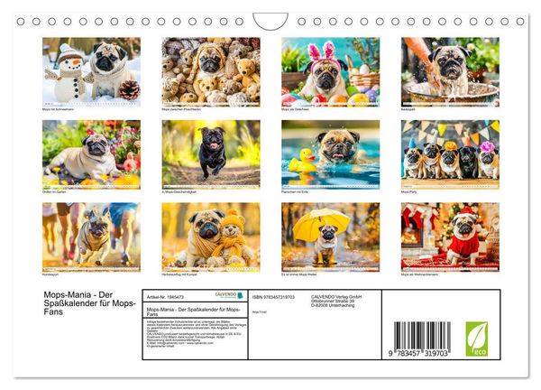 Produktbild: Mops-Mania - Der Spa&szlig;kalender f&uuml;r Mops-Fans (Wandkalender 2026 DIN A4 quer), CALVENDO Monatskalender