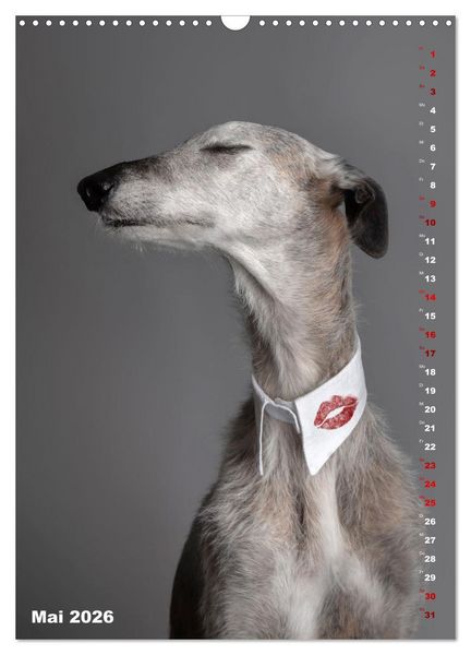 Produktbild: dogmuse deluxe (Wandkalender 2026 DIN A3 hoch), CALVENDO Monatskalender