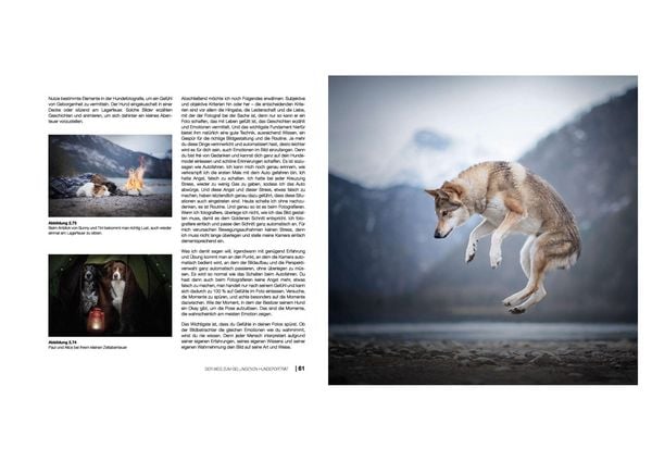 Produktbild: Hundefotografie