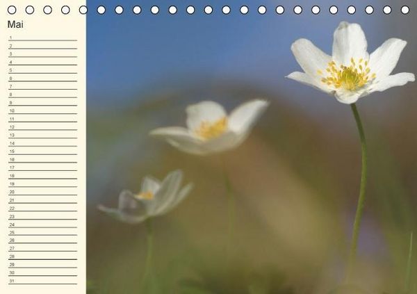 Produktbild: Geburtstagskalender "Nette Kleinigkeiten" (Tischkalender immerw&auml;hrend DIN A5 quer)