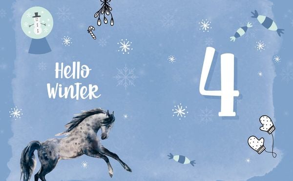 Produktbild: # ponylife &ndash; Mein Adventskalenderbuch &ndash; Von Lia und Lea