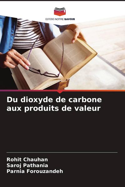 Produktbild: Du dioxyde de carbone aux produits de valeur