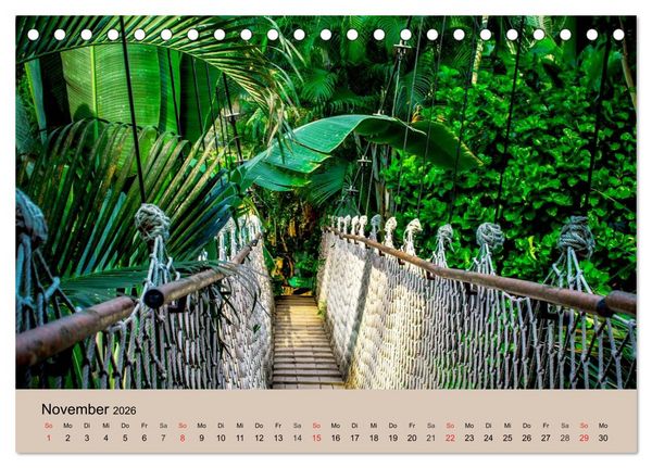 Produktbild: Brasilien. Impressionen (Tischkalender 2026 DIN A5 quer), CALVENDO Monatskalender