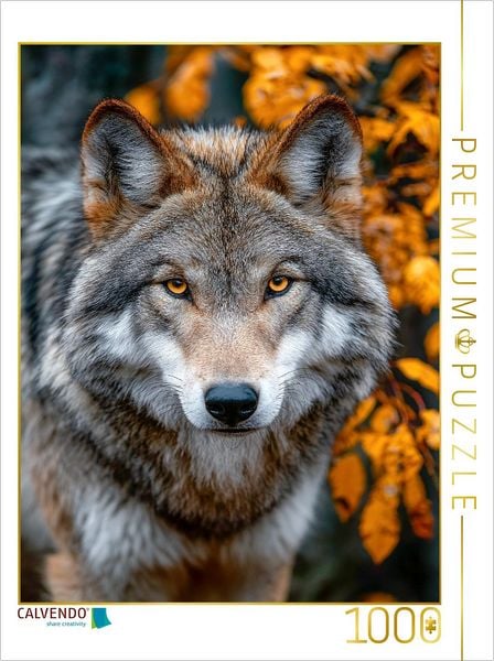 Produktbild: CALVENDO Puzzle Great Plains Wolf mit intensivem Blick im Herbstwald | 1000 Teile Lege-Gr&ouml;&szlig;e 64x48cm Foto-Puzzle f&uuml;r gl&uuml;ckliche Stunden