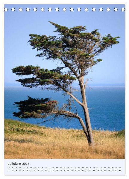 Produktbild: Arbres solitaires (Calendrier de bureau 2026 DIN A5 horizontal), CALVENDO calendrier mensuel