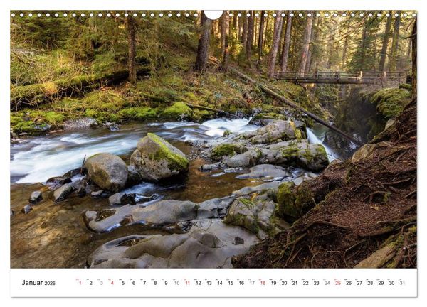Produktbild: The Olympic National Park - Washington USA (Wandkalender 2026 DIN A3 quer), CALVENDO Monatskalender