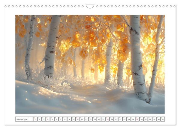 Produktbild: Birkenzauber (Wandkalender 2026 DIN A3 quer), CALVENDO Monatskalender