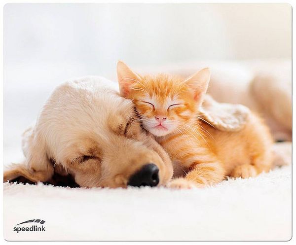 Produktbild: SPEEDLINK SILK Mousepad, Dog & Cat