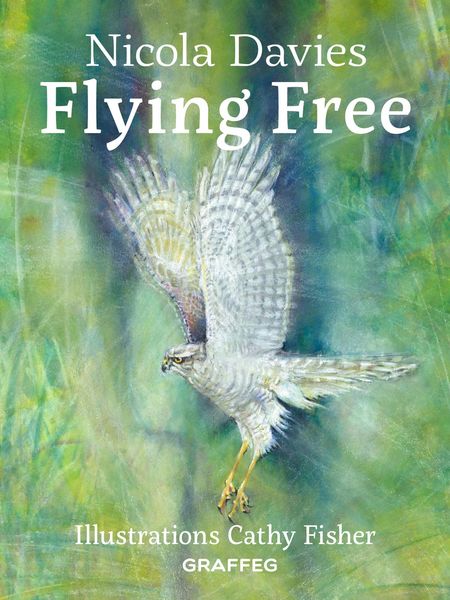 Produktbild: Flying Free