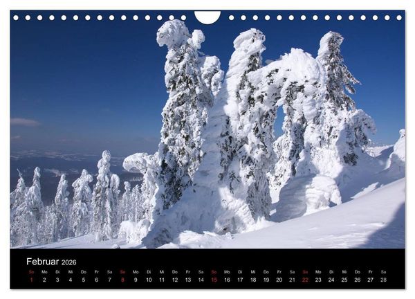 Produktbild: Bayerischer Wald - der Osten Bayerns (Wandkalender 2026 DIN A4 quer), CALVENDO Monatskalender