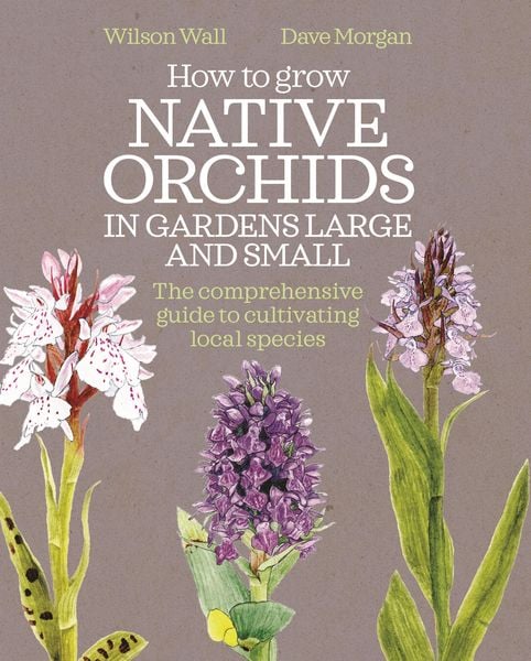 Produktbild: How to Grow Native Orchids in Gardens Large and Small