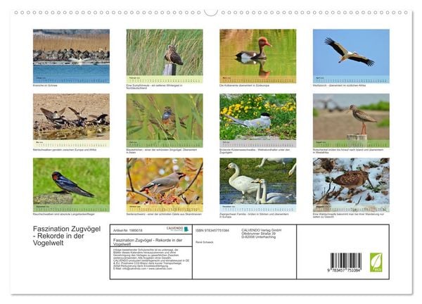 Produktbild: Faszination Zugv&ouml;gel - Rekorde in der Vogelwelt (hochwertiger Premium Wandkalender 2026 DIN A2 quer), Kunstdruck in Hochglanz