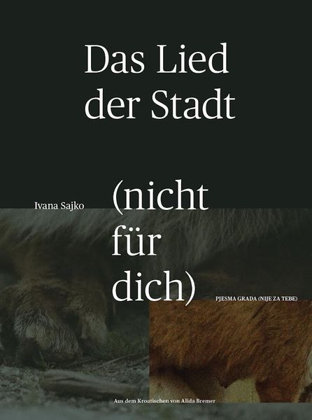 Produktbild: Das Lied der Stadt (nicht f&uuml;r dich)