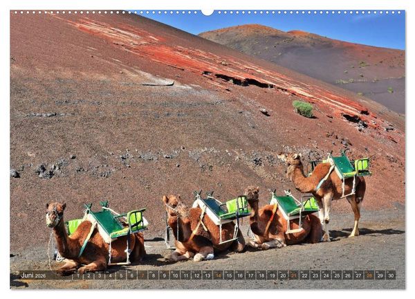 Produktbild: Lanzarote. Wunderwelt der Feuerberge (Wandkalender 2026 DIN A2 quer), CALVENDO Monatskalender