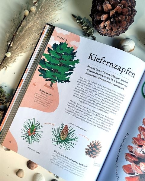 Große und kleine Schätze der Natur. Große und kleine Schätze der Natur