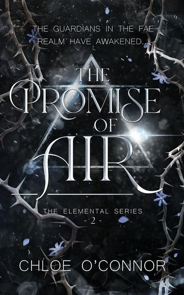 Produktbild: The Promise of Air