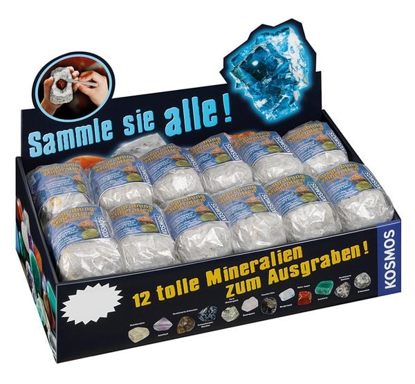 Produktbild: Mineralien & Fossilien (24 Ex. im Display)
