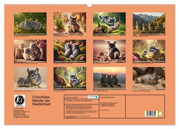 Produktbild: Chinchillas - Meister der Niedlichkeit (Wandkalender 2026 DIN A2 quer), CALVENDO Monatskalender