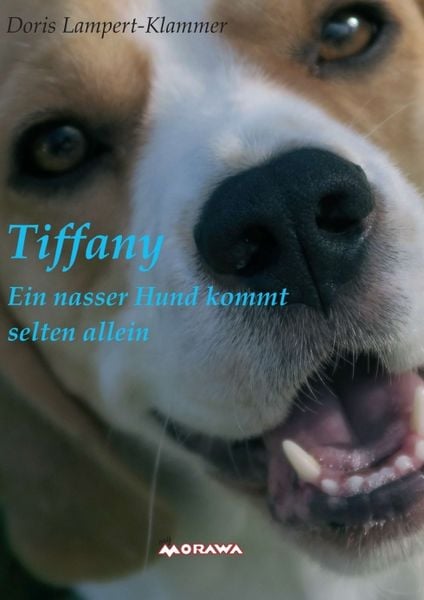 Produktbild: Tiffany, ein nasser Hund kommt selten allein