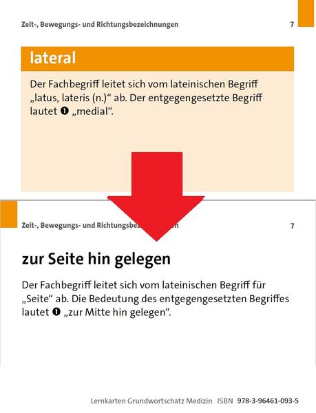 Produktbild: Grundwortschatz Medizin