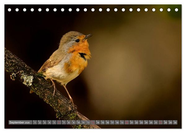 Produktbild: INNE BOTANIK - V&ouml;gel im Ruhrpott (Tischkalender 2026 DIN A5 quer), CALVENDO Monatskalender