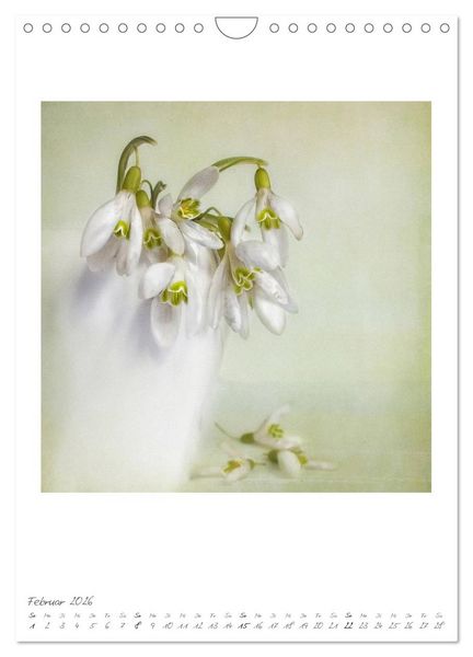 Produktbild: Flower Dreams (Wandkalender 2026 DIN A4 hoch), CALVENDO Monatskalender