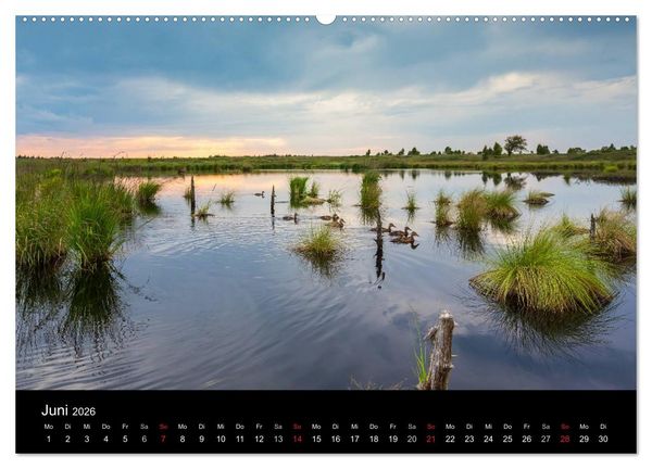 Produktbild: HOHES VENN - Einblicke in ein Hochmoor (hochwertiger Premium Wandkalender 2026 DIN A2 quer), Kunstdruck in Hochglanz