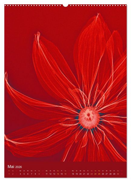 Produktbild: Durchleuchtete Blumenwelt 2026 (hochwertiger Premium Wandkalender 2026 DIN A2 hoch), Kunstdruck in Hochglanz
