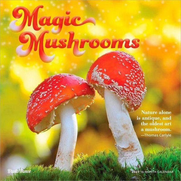 Produktbild: Magic Mushrooms 2027 12 X 24 Inch (Hanging) Monthly Square Wall Calendar Plastic-Free