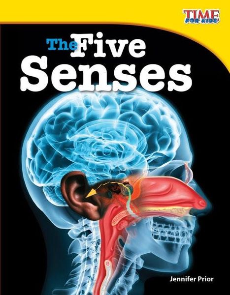 Produktbild: Five Senses