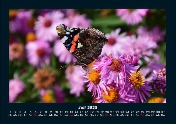 Produktbild: Blumenzauber 2025 Fotokalender DIN A4