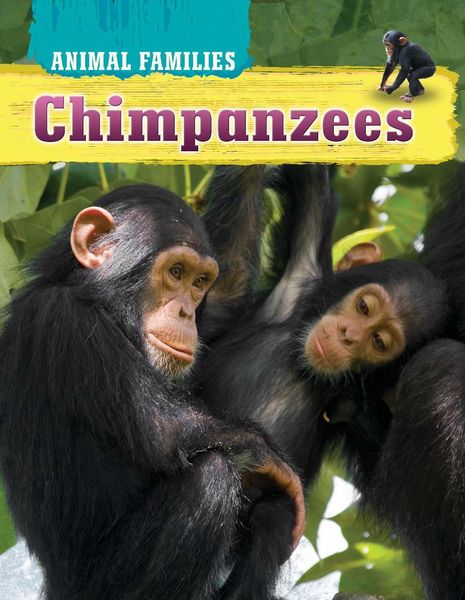 Produktbild: Chimpanzees