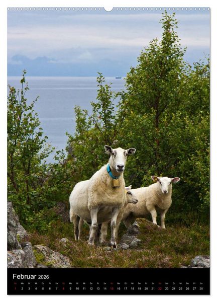 Produktbild: Norwegen (Wandkalender 2026 DIN A2 hoch), CALVENDO Monatskalender
