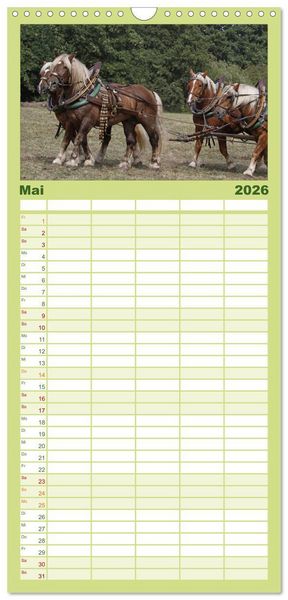 Produktbild: Familienplaner 2026 - Starke Pferde bei der Arbeit mit 5 Spalten (Wandkalender, 21 x 45 cm) CALVENDO