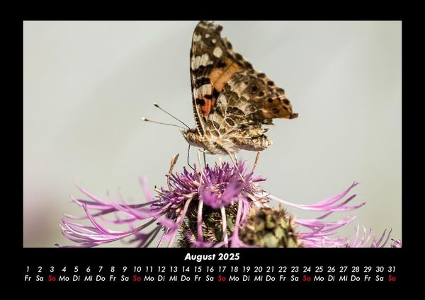 Produktbild: Welt der Tiere 2025 Fotokalender DIN A3