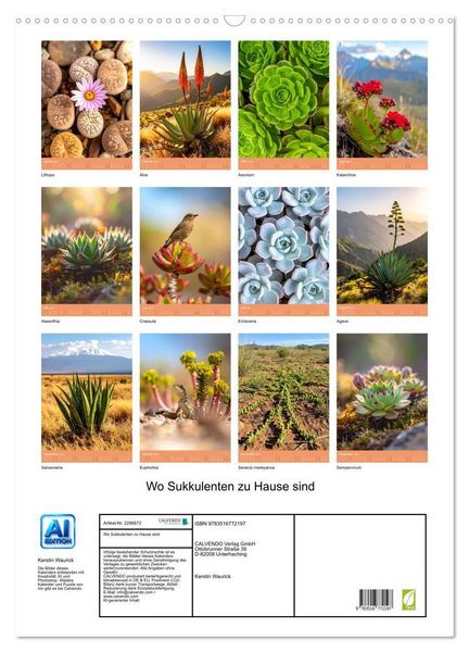 Produktbild: Wo Sukkulenten zu Hause sind (Wandkalender 2027 DIN A2 hoch), CALVENDO Monatskalender