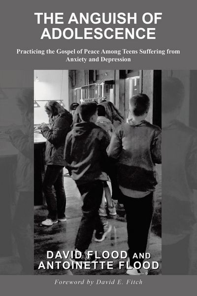 Produktbild: The Anguish Of Adolescence