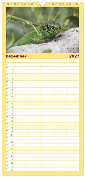 Produktbild: Familienplaner 2027 - Minisaurier im Garten mit 5 Spalten (Wandkalender, 21 x 45 cm) CALVENDO