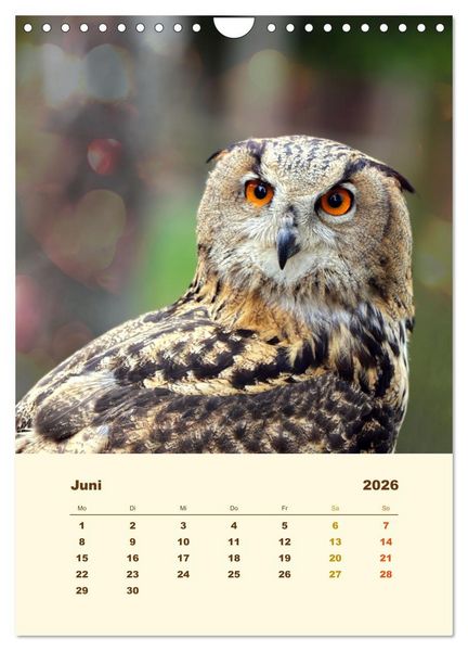 Produktbild: Uhu, die Faszination bernsteinfarbener Augen (Wandkalender 2026 DIN A4 hoch), CALVENDO Monatskalender