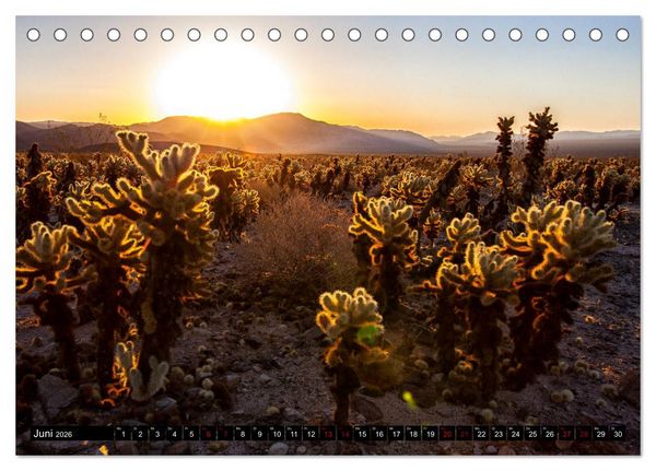 Produktbild: Landschaftliche Sch&auml;tze (Tischkalender 2026 DIN A5 quer), CALVENDO Monatskalender