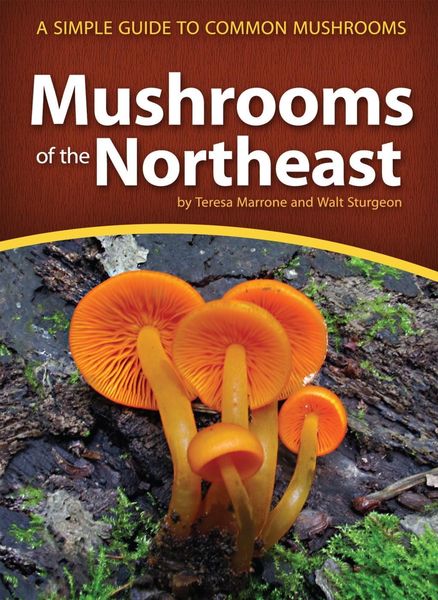 Produktbild: Mushrooms of the Northeast