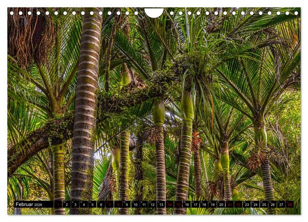 Produktbild: Trauminseln Neuseeland (Wandkalender 2026 DIN A4 quer), CALVENDO Monatskalender