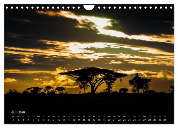 Produktbild: Wildes Afrika (Wandkalender 2026 DIN A4 quer), CALVENDO Monatskalender