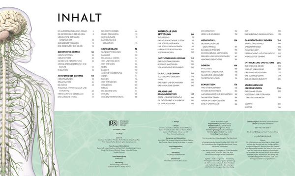Produktbild: Das Gehirn