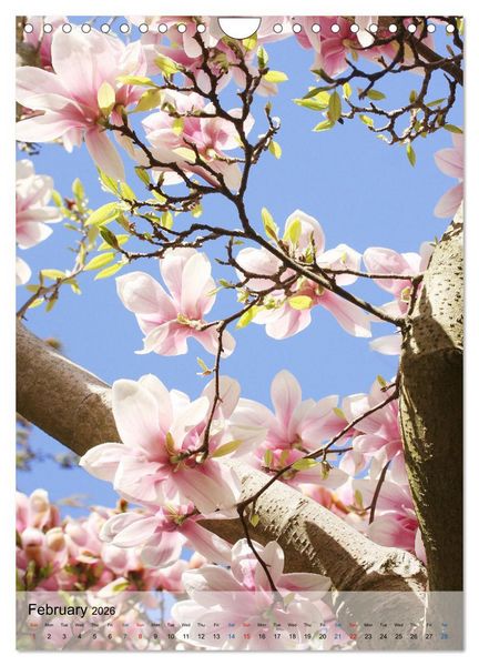 Produktbild: Garden Bliss (Wall Calendar 2026 DIN A4 portrait), CALVENDO 12 Month Wall Calendar