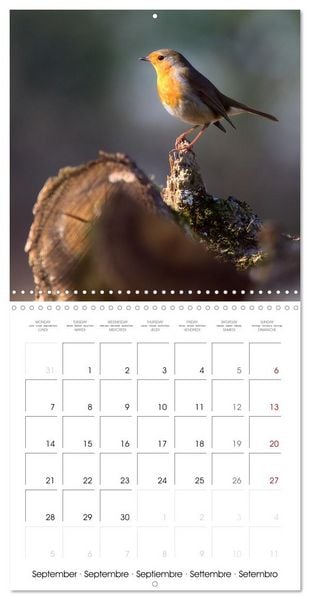 Produktbild: Les couleurs de la Vienne (Calendrier mural carr&eacute; 2026 30x30 cm) Calendrier double avec une page pour vos prises de notes