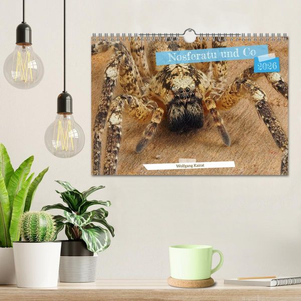 Produktbild: Nosferatu und Co. (Wandkalender 2026 DIN A4 quer), CALVENDO Monatskalender